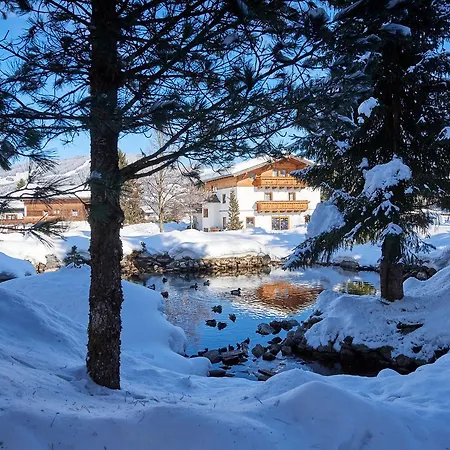 Sonnberg 4* פלאכאו